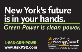 Green Power Bus Tail